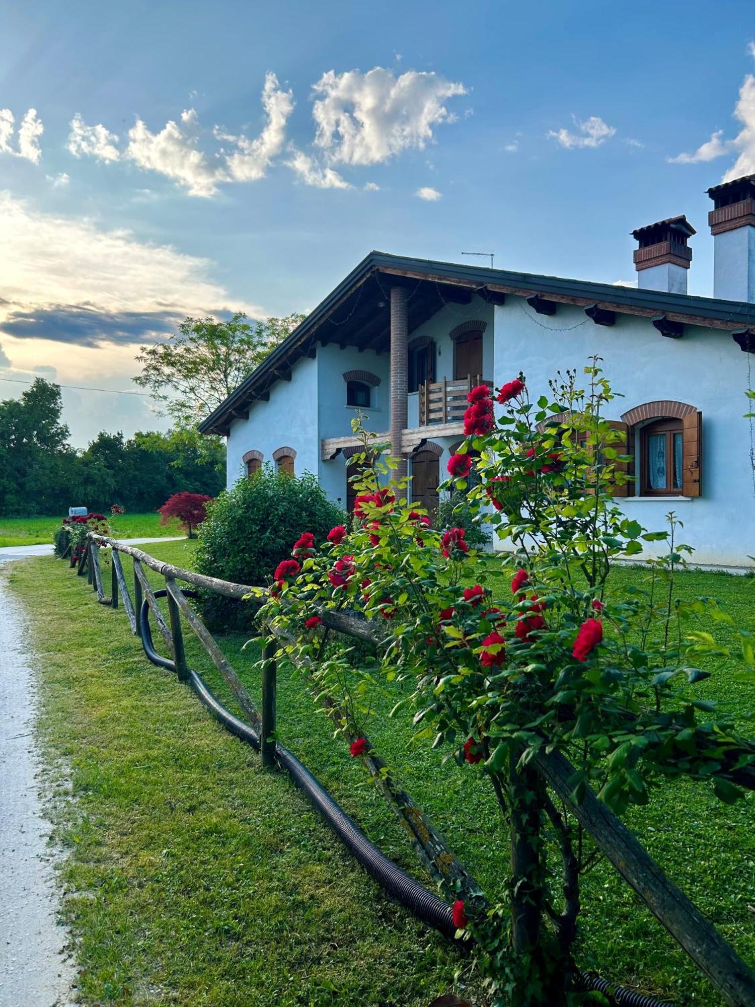 B&B Il Sentiero Noale Eksteriør billede